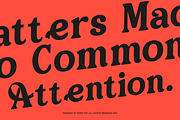 Pavalo Editorial Display Font, a Serif Font by Rasio Studio (Thumbnail 3 of 8)