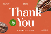 Single Robusta Modern Display Serif, a Serif Font by timelesstype.co (Thumbnail 20 of 20)