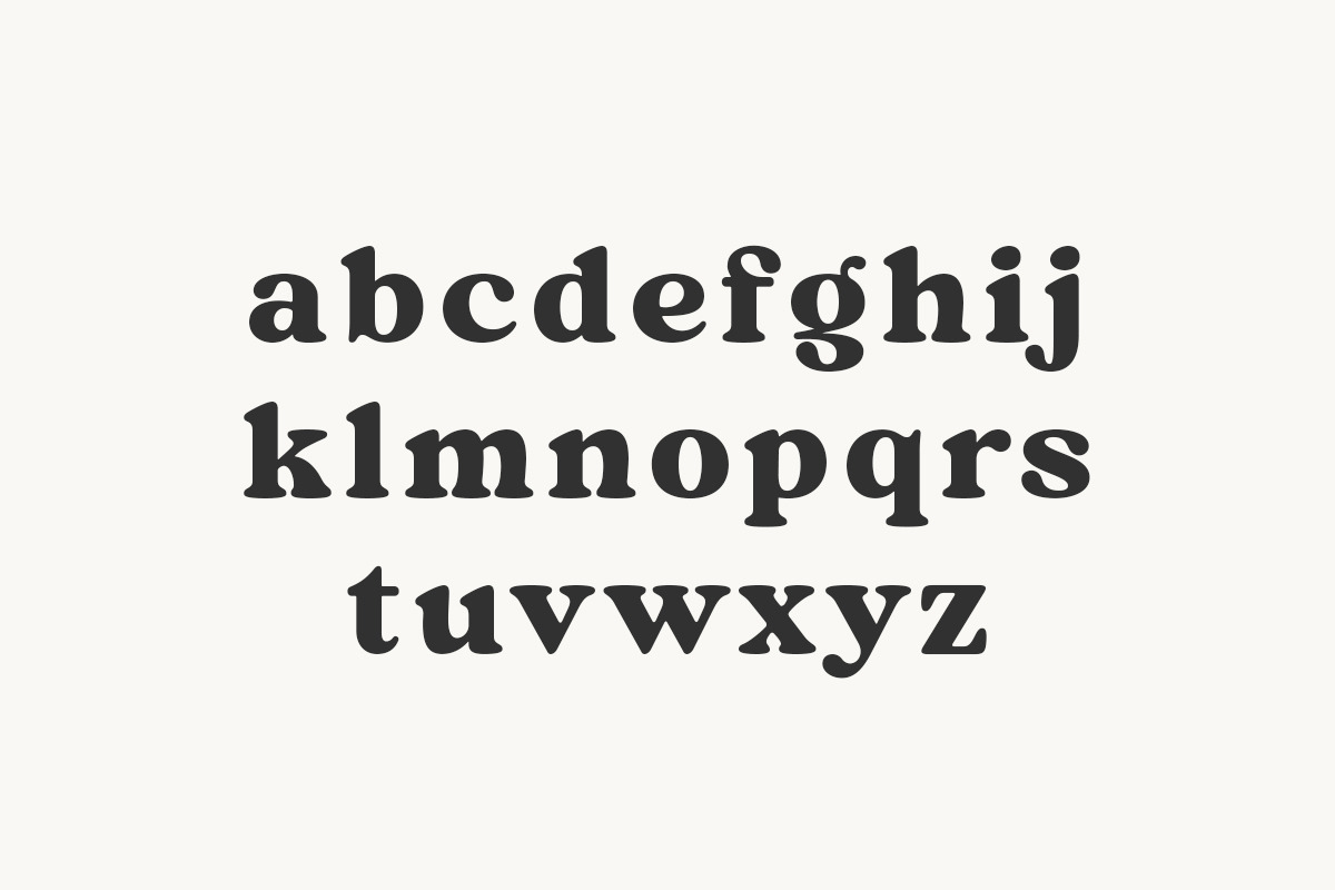 Mint And Sage, a Serif Font by Attract Studio (Photo 19 of 21)