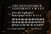 Cartin Elegant Serif Font, a Serif Font by Perfectype (Thumbnail 8 of 8)