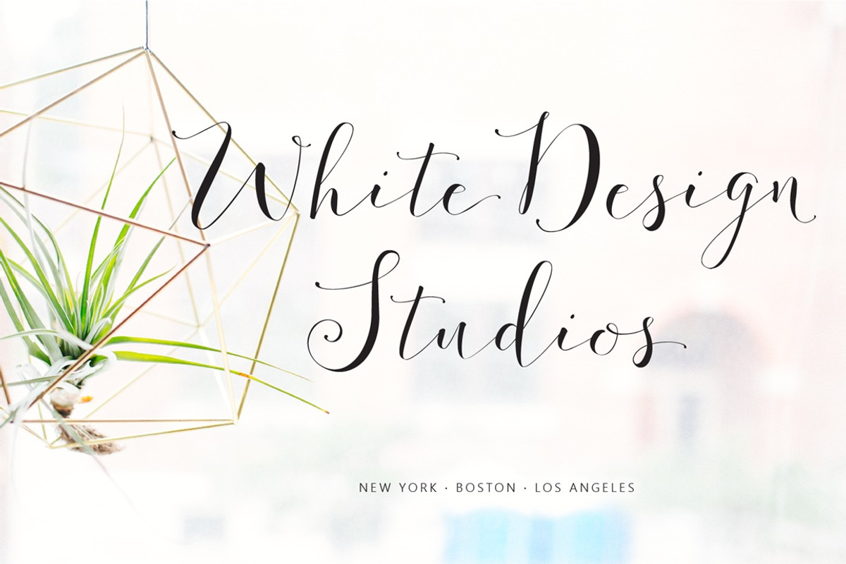 Fashionista Modern Calligraphy preview 4