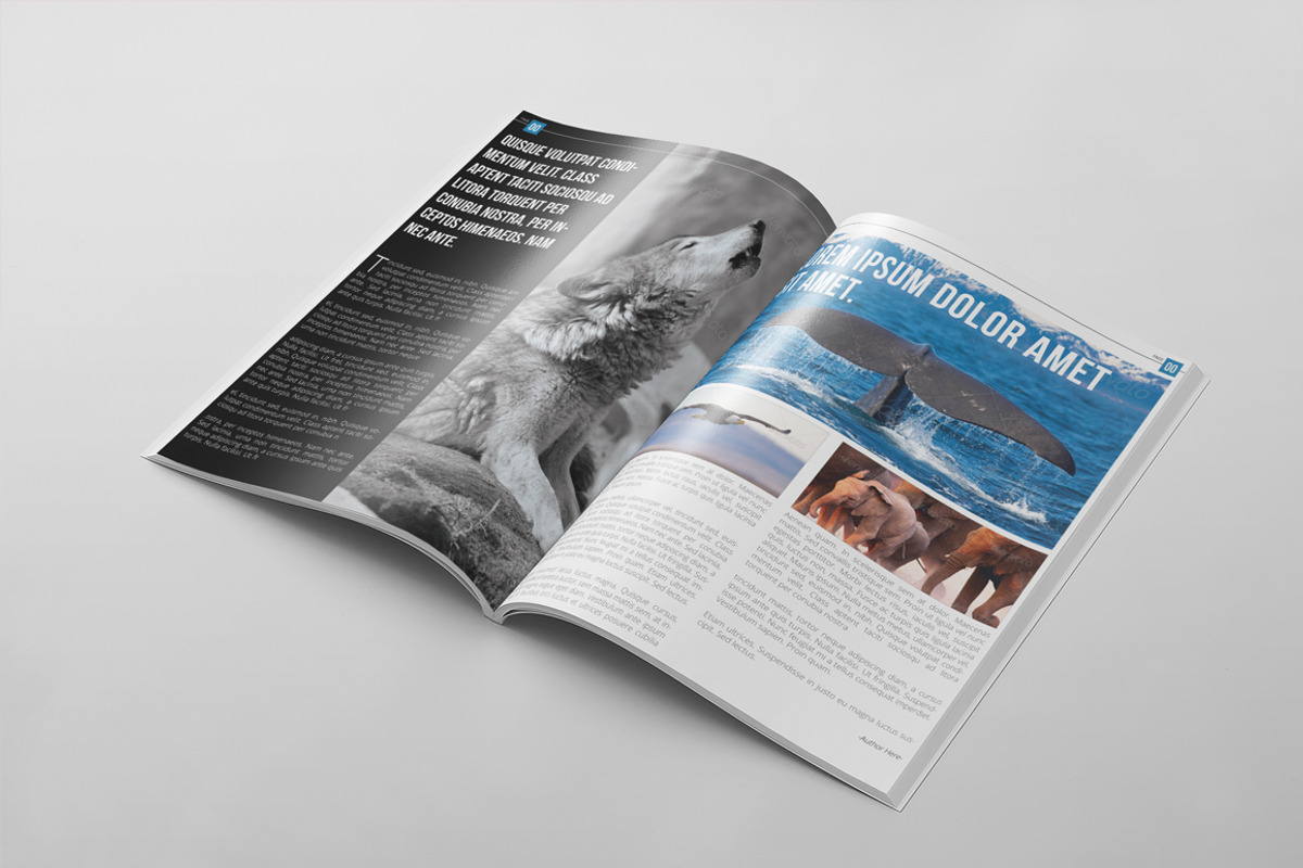 Magazine Template 18, a Magazine Template by pmvch (Photo 23 of 30)