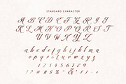 Fairydate - Luxury Script, a Script Font by Bale Type (Thumbnail 9 of 9)