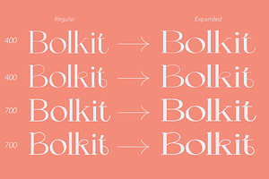 ZT Bolkit - Display Serif