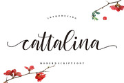 Cattalina - Beauty Font, a Script Font by Good Java Studio (Thumbnail 1 of 9)