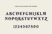Wolff Swash - Bold Serif Font, a Serif Font by Wolff Design Co. (Thumbnail 2 of 8)