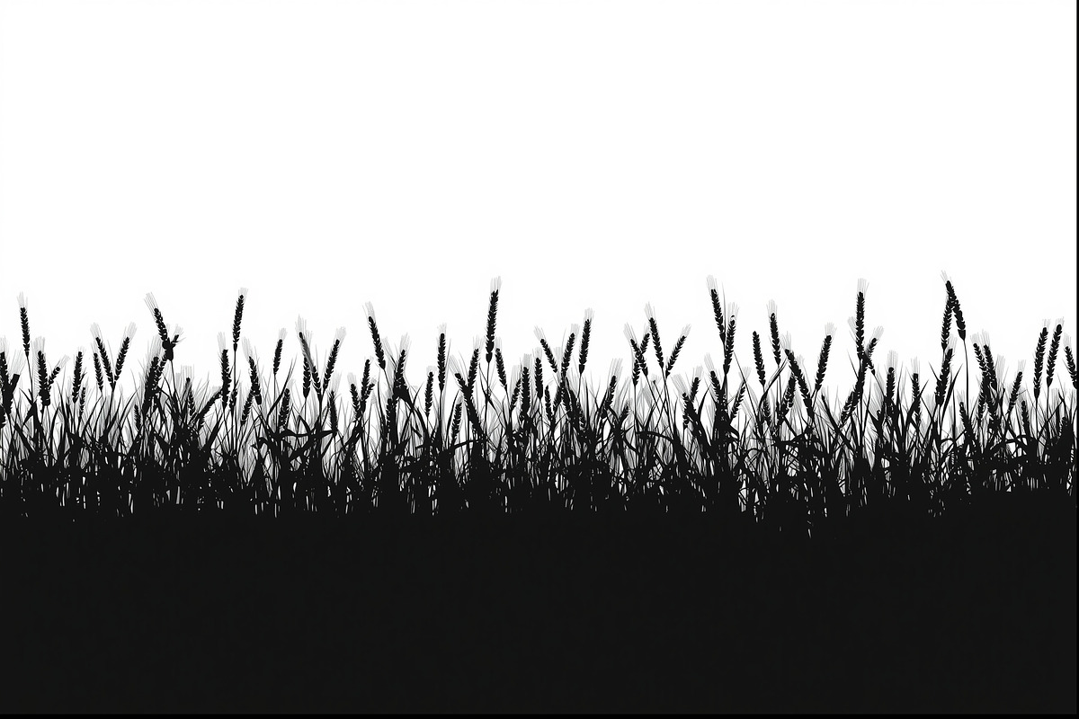 Rustic Wheat Field Vector Borders, an Illustration by hafijul (Photo 4 of 9)