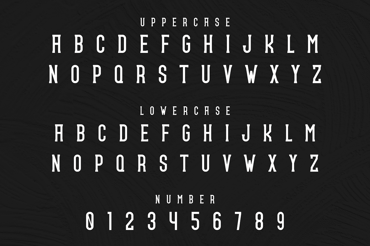 Viperox, a Sans Serif Font by lelevien (Photo 3 of 5)