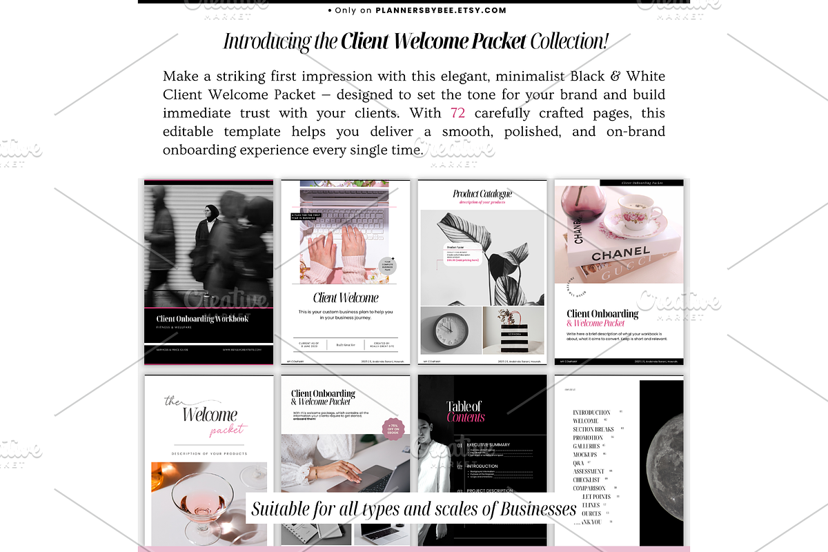 Client Welcome Packet Template, a Templates & Theme by PlannersByBee (Photo 2 of 4)