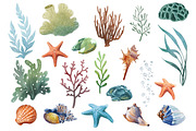 Underwater world watercolor collecti, an Animal Illustration by IrynaPanashii (Thumbnail 3 of 16)