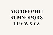 Roadworthy Elegant Serif Font, a Serif Font by UICreative (Thumbnail 5 of 13)