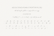 The Florence Calligraphy Font, a Script Font by Pen Culture (Thumbnail 8 of 9)