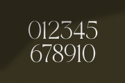 Versine Swoosh, a Serif Font by RockboyStd (Thumbnail 9 of 12)