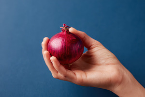 Hand holding red onion, a Food & Drink Photo by AlyaAnd