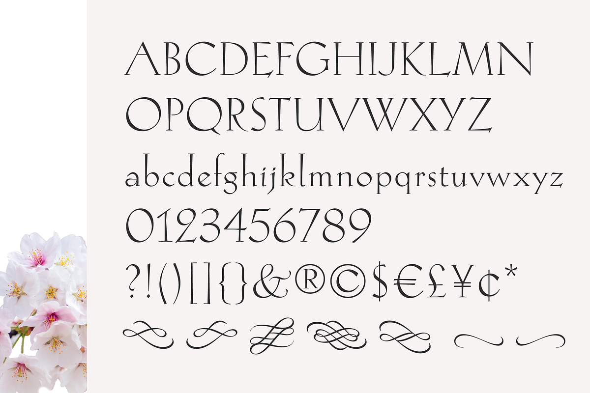 Hellen - Serif Font, a Serif Font by Genilson Santos (Photo 2 of 21)