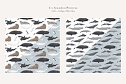 Ocean Species Set - Hand-drawn PNGs, an Animal Illustration by LaurenFittonIllustration (Thumbnail 4 of 10)