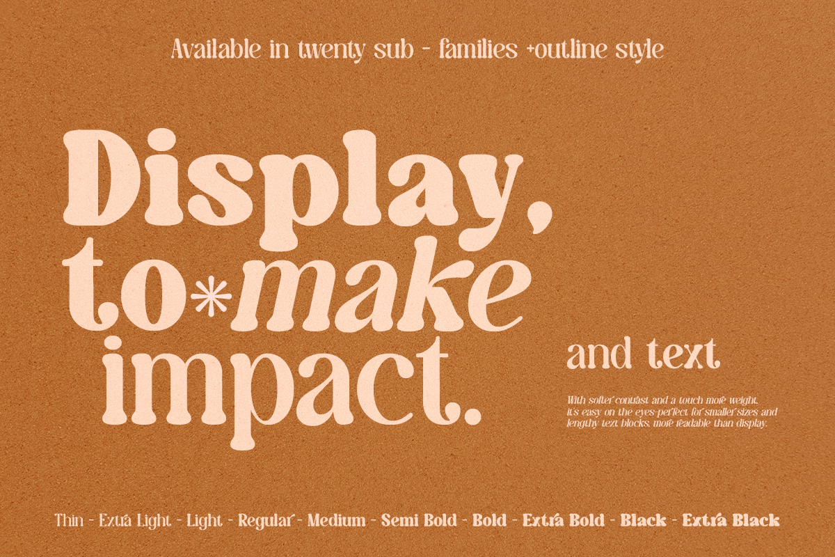 Caromy - Retro Variable Font, a Serif Font by Font Liner (Photo 5 of 11)