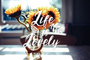 NEW! Soul Run Brush Font, a Script Font by Wewhitelist (Thumbnail 2 of 7)