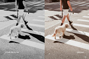 Ilford Delta 100, a Preset Add-On by colorituals (Thumbnail 6 of 9)