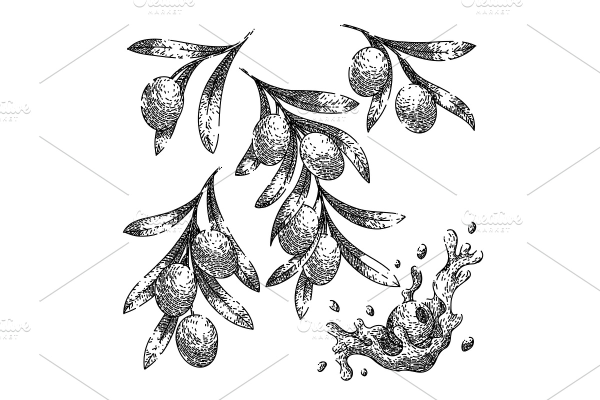 oline oil food set sketch hand drawn, an Illustration by pikepicture