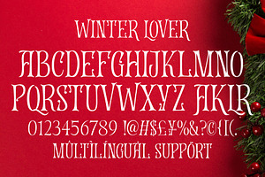 50% Winter Lover - Curly Serif Font