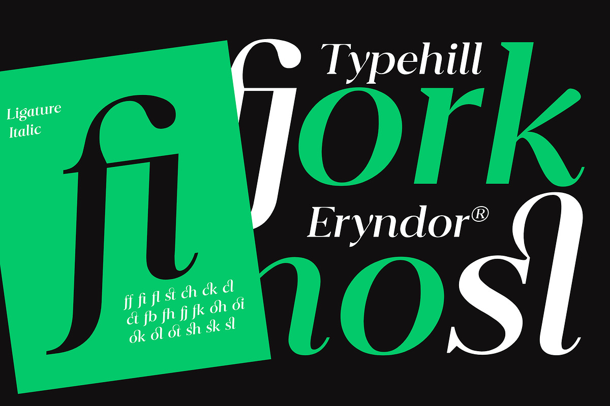 Eryndor, a Serif Font by Typehill (Photo 4 of 13)