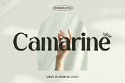 Camarine Blur, a Serif Font by Craft Supply Co. (Thumbnail 1 of 8)