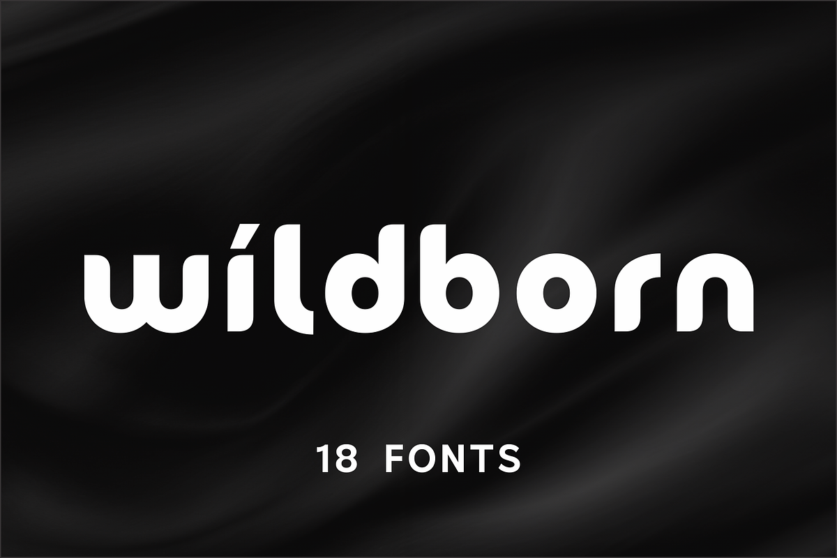 Wildborn - Logo Font, a Sans Serif Font by Umitype (Photo 1 of 11)