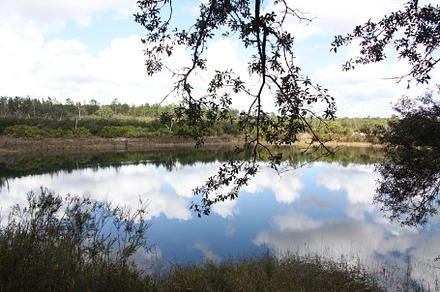 Lake in Gold Head Branch State Park