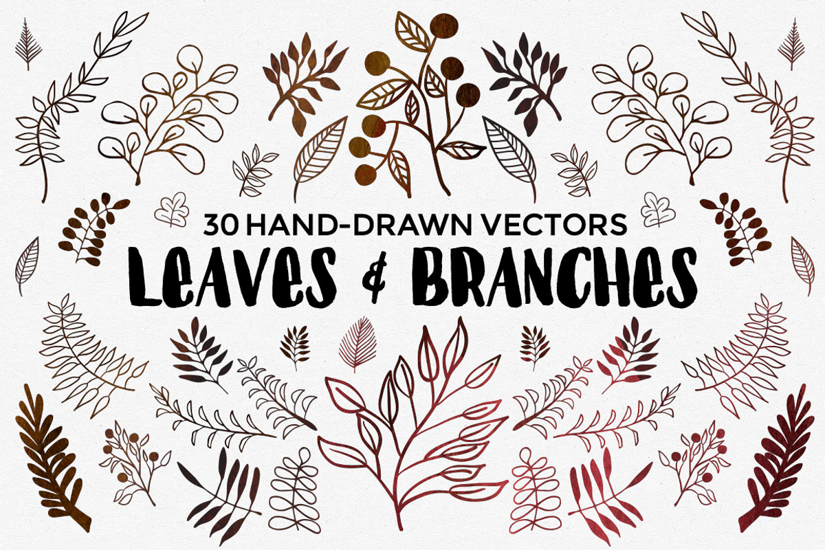 Hand Drawn Vector Leaves & Branches, an Illustration by Hello Brio (Photo 1 of 5)