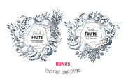 Fruits - hand drawn vector set, a Food Illustration by Margo Miller (Thumbnail 13 of 25)