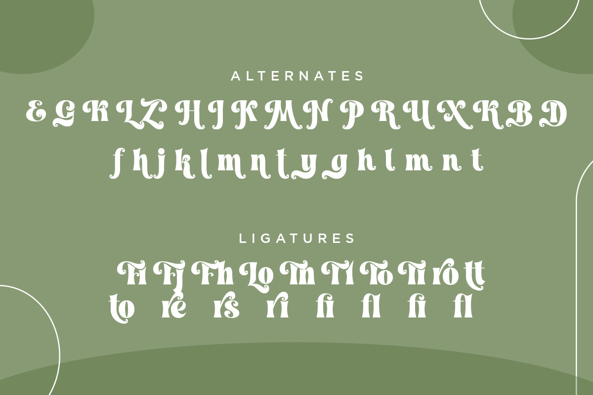 Maison Paris - Modern Stylish Font, a Serif Font by Shakira Studio (Photo 15 of 15)
