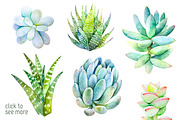 Succulents watercolor set, an Illustration by Green_leaf_17 (Thumbnail 2 of 4)