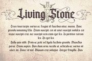 Bailey barker, a Serif Font by LetterStock (Thumbnail 2 of 7)