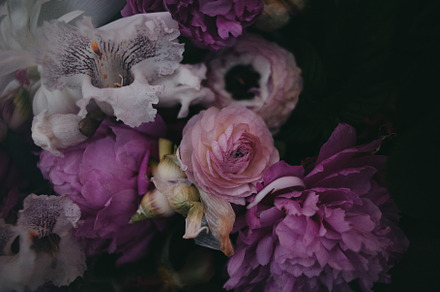Flower bouquet photo stock photo containing flowers and floral, a Nature Photo by Amaranth Creative Co.