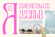 TAN - ASTORIA, a Serif Font by TanType (Thumbnail 9 of 21)