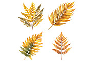 Fall Ferns Clipart Bundle, an Illustration by Pixels.Craft (Thumbnail 4 of 4)