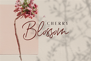 Romantic Couple // Font Duo, a Script Font by Bluestudio (Thumbnail 2 of 10)