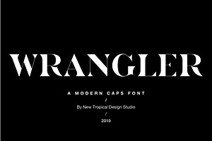 The Chic & Unique Modern Font Bundle