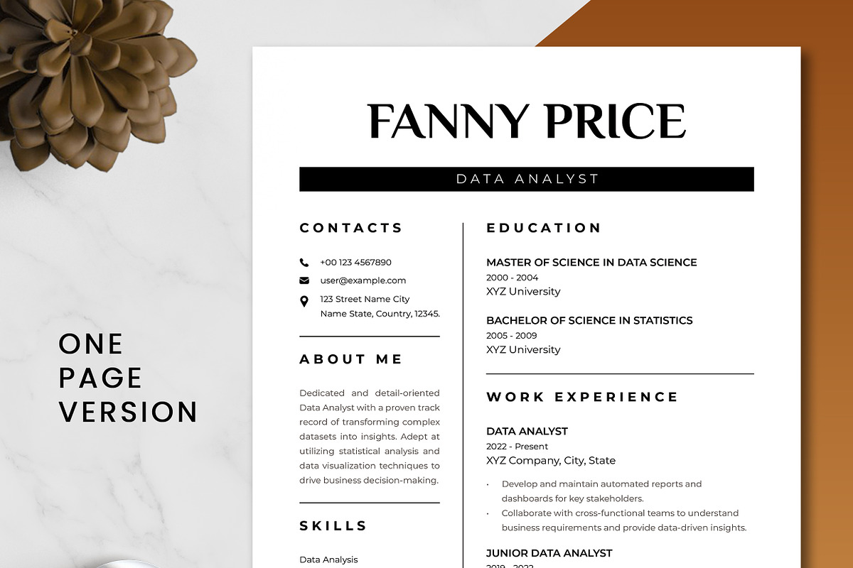 Data Analyst Resume Template preview 2