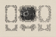 Floral Line Art Collection, a Decorative Illustration by heyXeni (Thumbnail 7 of 12)