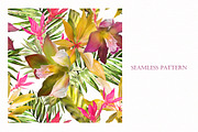 Tropical collection. Summer design., a Decorative Illustration by Lisima (Thumbnail 11 of 19)