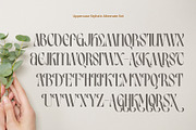 Birletus Display Font duo, a Sans Serif Font by executypeStudio (Thumbnail 9 of 11)