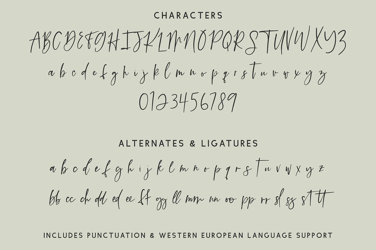 Sierra Gorge Script, a Script Font by Beck McCormick (Photo 10 of 10)