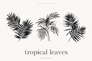 Tropical Leaves, a Decorative Illustration by PeDe Designs (Thumbnail 5 of 7)