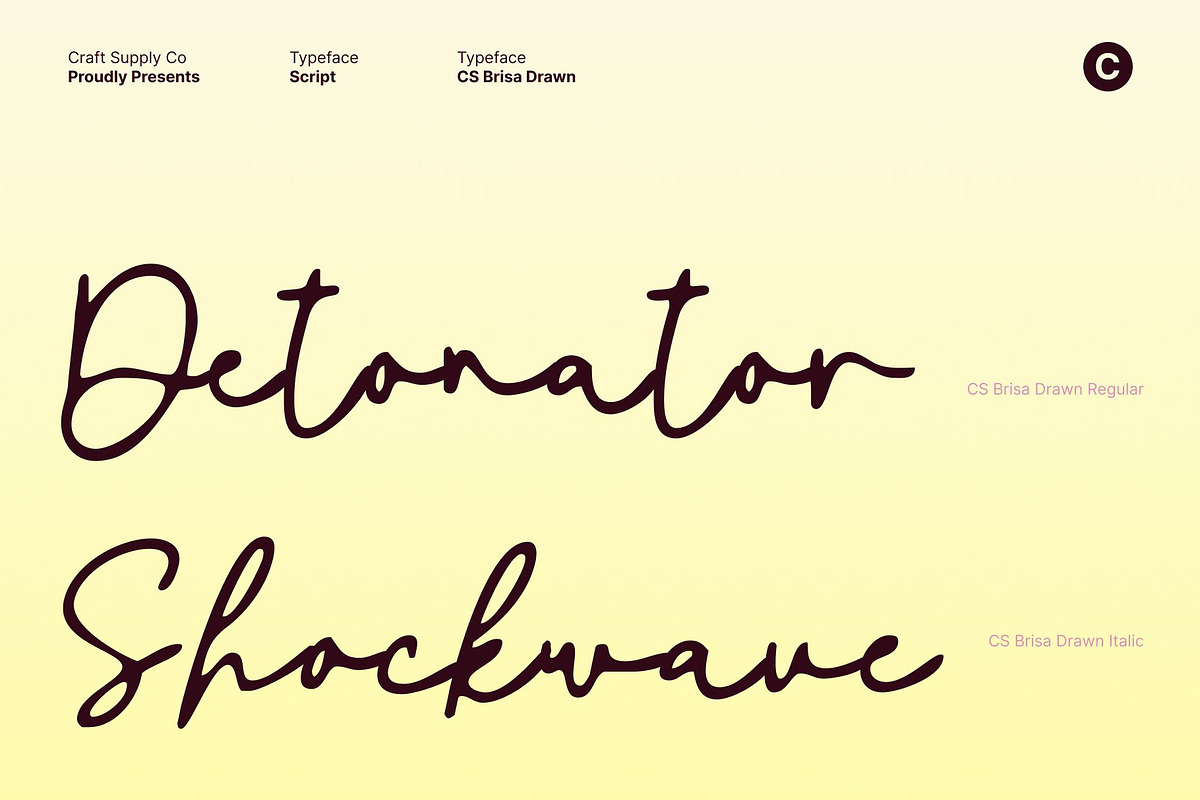 CS Brisa Drawn, a Script Font by Craft Supply Co. (Photo 3 of 8)