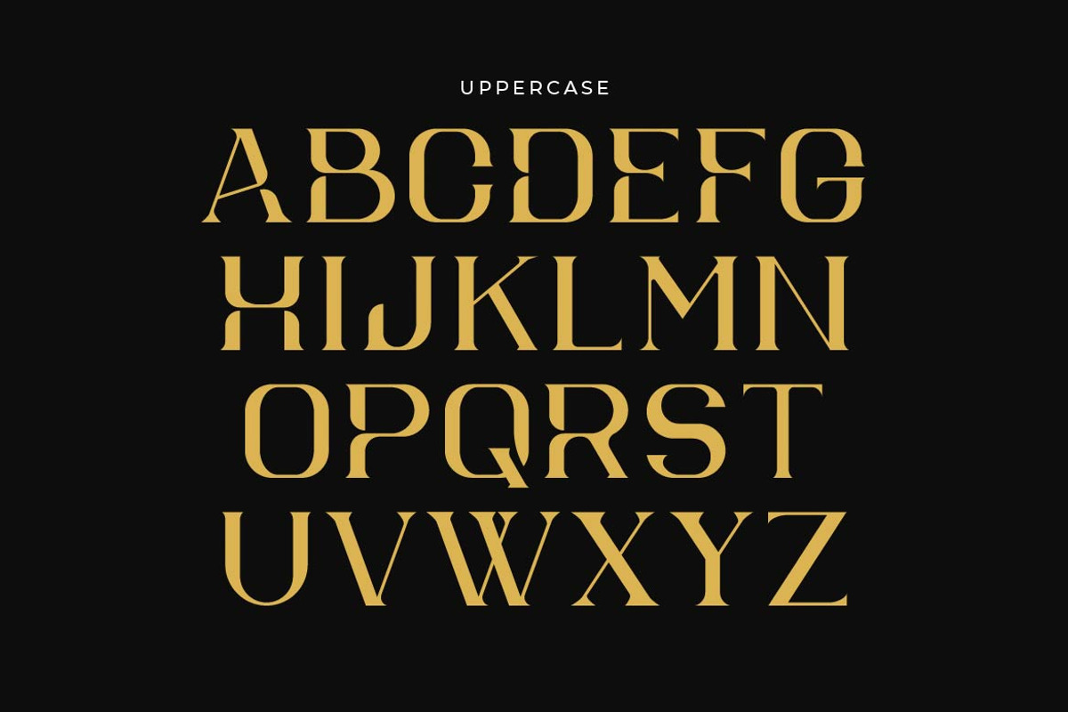 Worage Luxury Serif, a Serif Font by Artiveko (Photo 3 of 10)