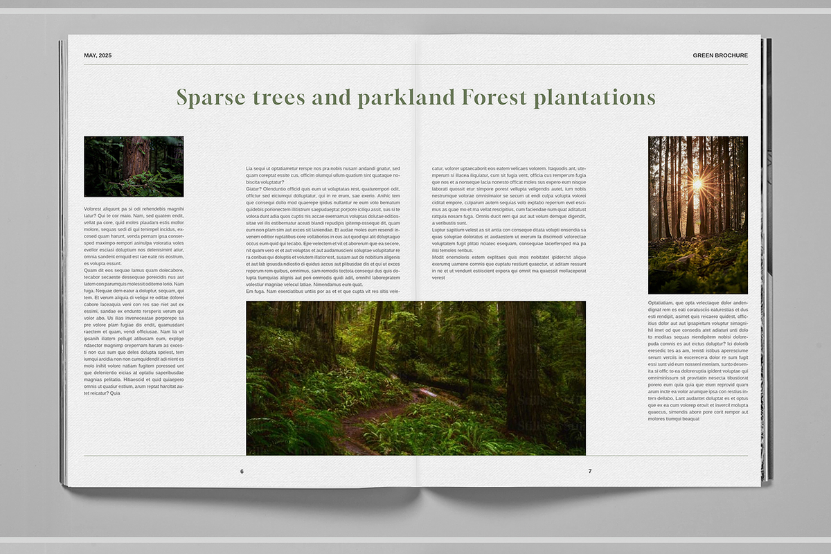 Deep Green Nature Brochure Template, a Brochure Template by Boris Cupac (Photo 7 of 7)