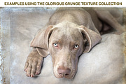 Glorious Grunge Textures, a Texture Graphic by French Kiss Collections (Thumbnail 3 of 5)