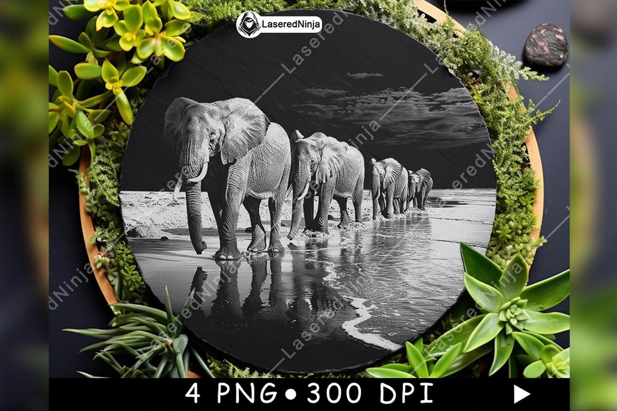 Elephants Group Walking Herd Beach, a Background Graphic by LaseredNinja (Photo 2 of 7)